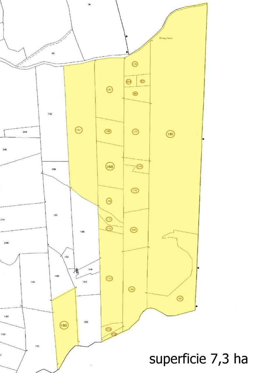 WhatsApp Image 2025-08-03 at 13.55.08.jpeg - Terreno agricolo Località di Popogna la Concezione 35, Rosignano Marittimo - planimetria 1