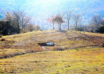 WhatsApp Image 2025-08-03 at 13.55.51.jpeg - Terreno agricolo Località di Popogna la Concezione 35, Rosignano Marittimo - foto 9