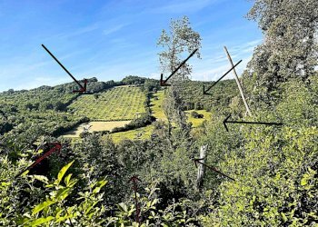 WhatsApp Image 2025-08-03 at 13.55.13.jpeg - Terreno agricolo Località di Popogna la Concezione 35, Rosignano Marittimo - foto 12