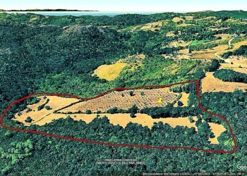 WhatsApp Image 2025-08-03 at 13.55.09.jpeg - Terreno agricolo Località di Popogna la Concezione 35, Rosignano Marittimo - foto 13