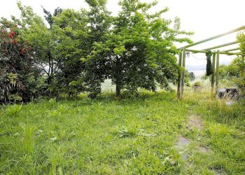 giardino - Trilocale Via Orcianese 6 6, Collesalvetti - foto 16