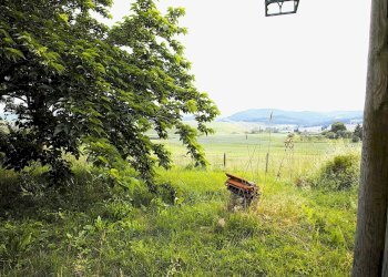 giardino - Trilocale Via Orcianese 6 6, Collesalvetti - foto 17