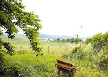 giardino - Trilocale Via Orcianese 6 6, Collesalvetti - foto 18