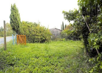 giardino - Trilocale Via Orcianese 6 6, Collesalvetti - foto 19