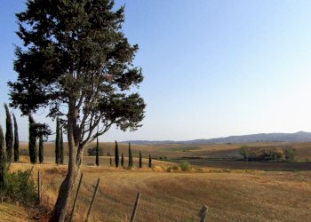 giardino - Trilocale Via Orcianese 6 6, Collesalvetti - foto 21