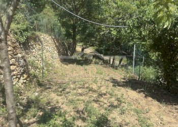 IMG_6362.JPEG - Villa Via Laiolo 50, Spotorno - foto 14