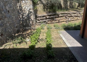 IMG_6346.JPG - Villa Via Laiolo 50, Spotorno - foto 30