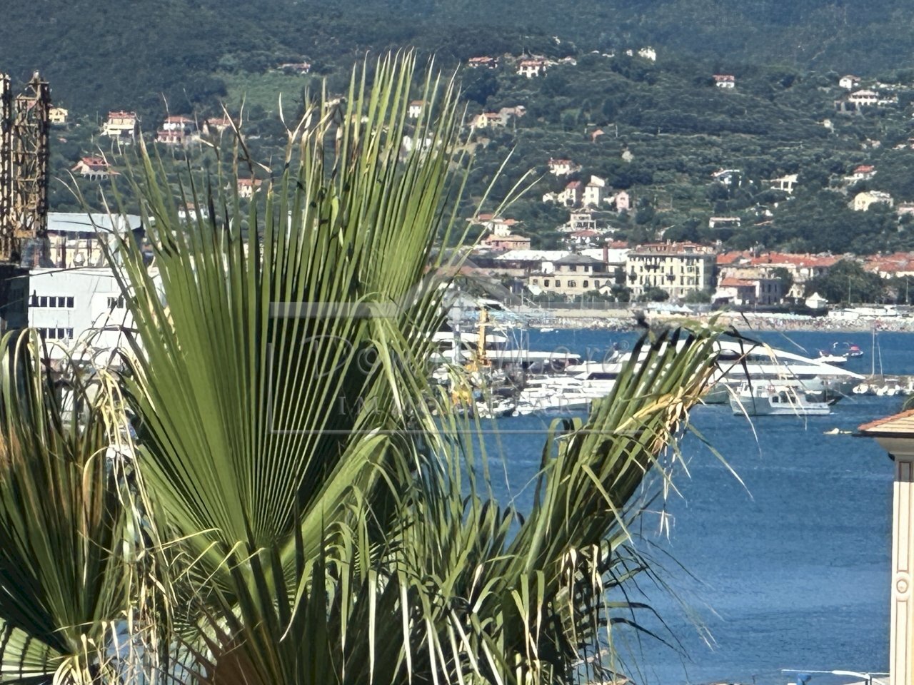 IMG_6241.JPG - Appartamento Via Orefici 3, Savona - foto 3