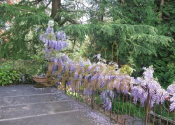 investimento-immobiliare--bed-and-breakfast-a-varz - Albergo - Struttura ricettiva Via Fontana 3, Varzo - foto 7