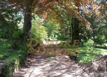 investimento-immobiliare--bed-and-breakfast-a-varz - Stabile - Palazzo Via Fontana 3, Varzo - foto 21