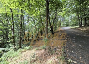 Sentiero.jpg - Villa via per Cambiesso, Intragna - photo 5