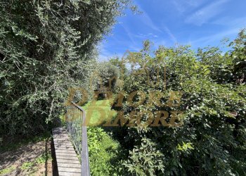 Giardino 4.jpg - Villa Via Piemonte 29, Arizzano - photo 6