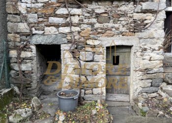 IMG_2042.jpg - Baita Valle Cannobina - foto 25