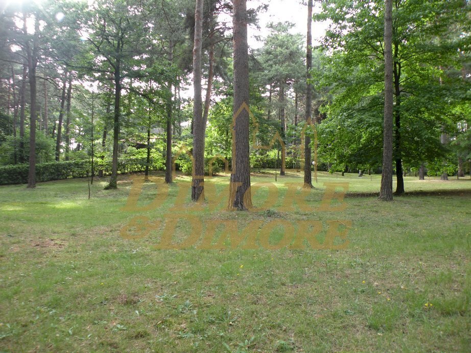 Terreno lotto 675 Boscogrande.jpg - Building land Via dei Pini, Casale Litta - photo 2