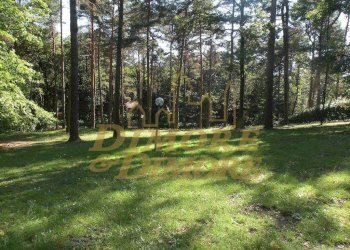 Terreno 2 Boscogrande.jpg - Terreno edificabile Via dei Pini, Casale Litta - foto 1