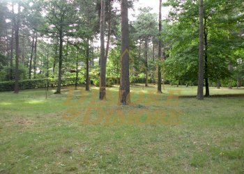 Terreno lotto 675 Boscogrande.jpg - Terreno edificabile Via dei Pini, Casale Litta - foto 2