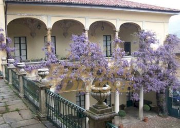 glicine.jpg - Villa Varese - foto 7