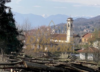 IMG_1195.jpg - Terreno edificabile Via G. Andreani 2, Valganna - foto 2