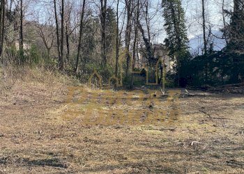 IMG_1196.jpg - Terreno edificabile Via G. Andreani 2, Valganna - foto 8