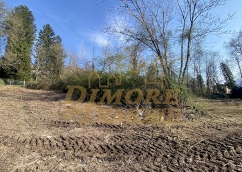 IMG_1201.jpg - Terreno edificabile Via G. Andreani 2, Valganna - foto 10