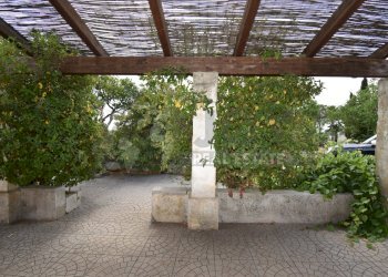 16.JPG - Villa Via Carlo Donat Cattin 63, Specchia - foto 16