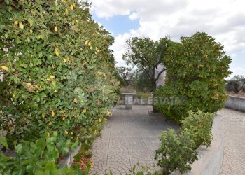 17.JPG - Villa Via Carlo Donat Cattin 63, Specchia - foto 17