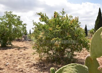 24.JPG - Villa Via Carlo Donat Cattin 63, Specchia - foto 24