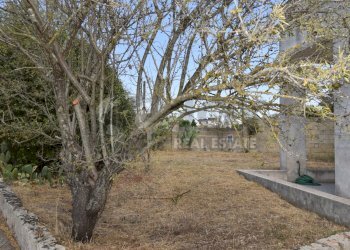 25.JPG - Villa Via Carlo Donat Cattin 63, Specchia - foto 25