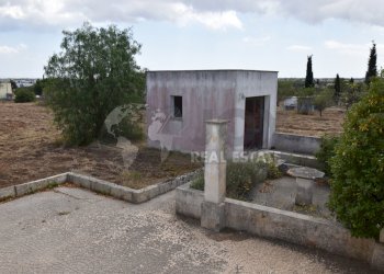 30.JPG - Villa Via Carlo Donat Cattin 63, Specchia - foto 30