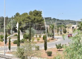 10.jpg - Agricultural land Via Carlo Donat Cattin 61, Specchia - photo 1