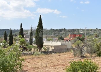 5.jpg - Agricultural land Via Carlo Donat Cattin 61, Specchia - photo 2