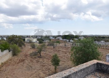 2.jpg - Agricultural land Via Carlo Donat Cattin 61, Specchia - photo 4