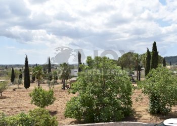 7.jpg - Agricultural land Via Carlo Donat Cattin 61, Specchia - photo 8