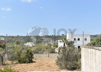 8.jpg - Agricultural land Via Carlo Donat Cattin 61, Specchia - photo 9