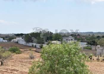 4.jpg - Agricultural land Via Carlo Donat Cattin 61, Specchia - photo 5