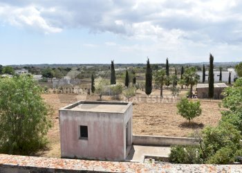 6.jpg - Agricultural land Via Carlo Donat Cattin 61, Specchia - photo 6