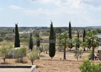 9.jpg - Agricultural land Via Carlo Donat Cattin 61, Specchia - photo 9