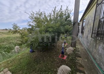 20251003_103419.jpg - Villa Ceregnano RO, Ceregnano - photo 8