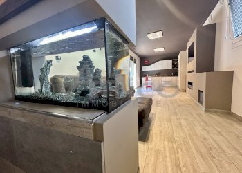 IMG_6905.jpeg - Villa Via Mario Malfatto 46, Rovigo - foto 8