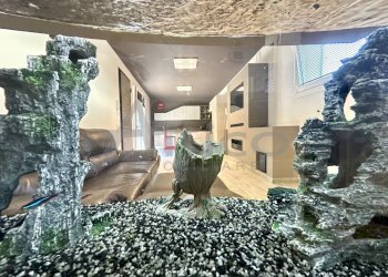 IMG_6906.jpeg - Villa Via Mario Malfatto 46, Rovigo - foto 9