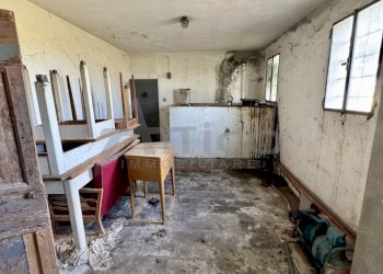 IMG_3066.jpeg - Rustico Via Giotto 41, Rovigo - foto 17