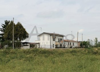 20190521_152657.jpg - Villa S. Apollinare RO, Rovigo - foto 3