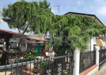 111.jpg - Villa S. Apollinare RO, Rovigo - foto 5