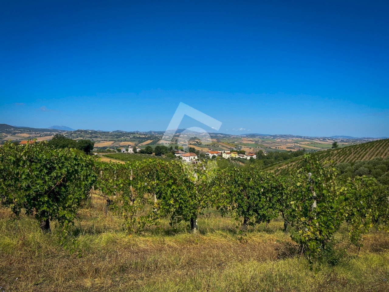 3D223882-F3BB-41E1-8CB6-9E5DB5CBA9B9.jpeg - Terreno agricolo Montecarotto - foto 1