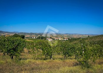 3D223882-F3BB-41E1-8CB6-9E5DB5CBA9B9.jpeg - Terreno agricolo Montecarotto - foto 1