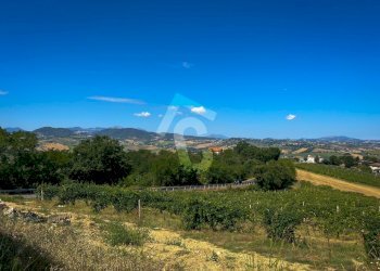 B626C14D-BB81-43A0-A6A9-698A112D49B6.jpeg - Terreno agricolo Montecarotto - foto 5