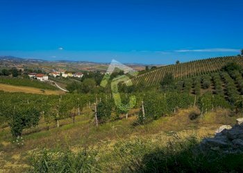 209AE244-7748-4F40-B415-FA57AB61C4F0.jpeg - Terreno agricolo Montecarotto - foto 6