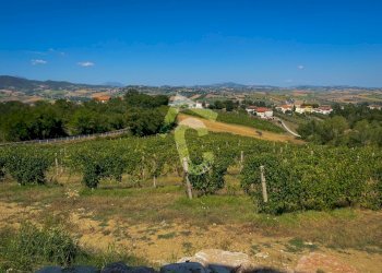 17C826E1-8319-41D1-99EA-99370FDC37E1.jpeg - Terreno agricolo Montecarotto - foto 7