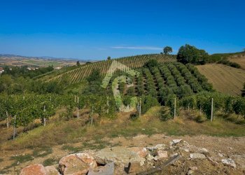 1C0D3A5D-317C-40C1-89FC-6A7110138A01.jpeg - Terreno agricolo Montecarotto - foto 8