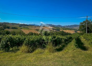 D007782F-9D50-4325-B209-F9D6F1664334.jpeg - Terreno agricolo Montecarotto - foto 13